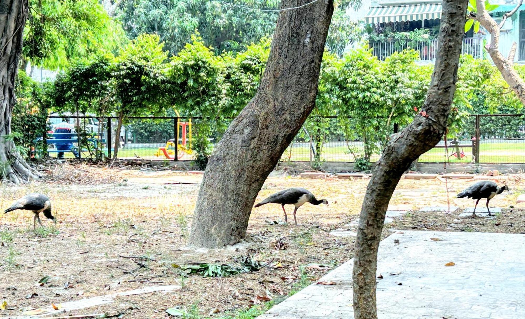 Homestay The Pearl Of Nature By Nyra